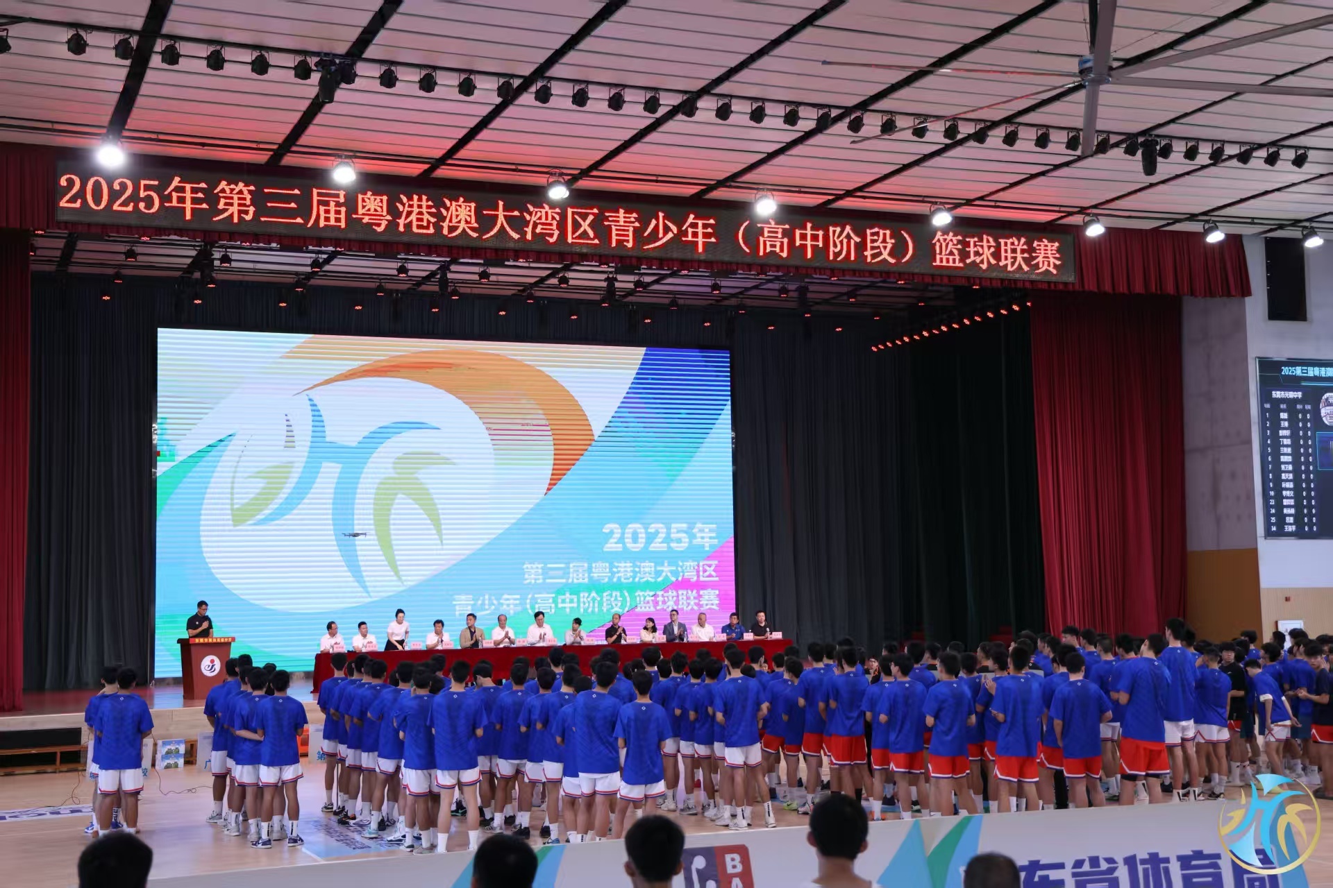 msn, 也有效提升, 港澳大湾区 msn, 也有效提升, 港澳大湾区