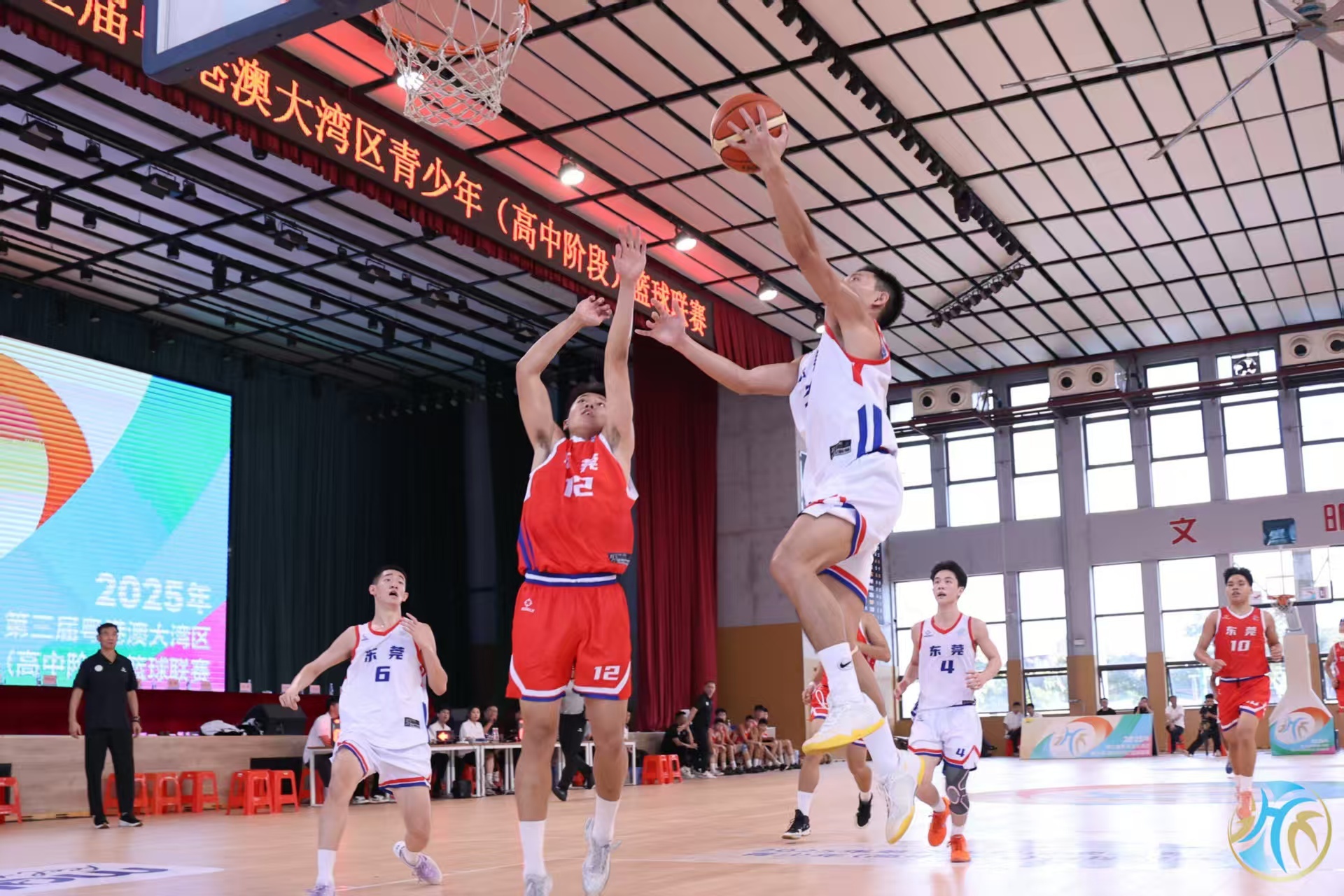 该项赛事不 该项赛事不